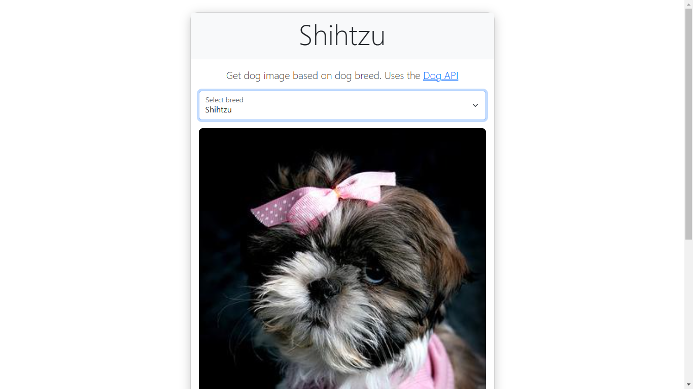 Shih-tzu